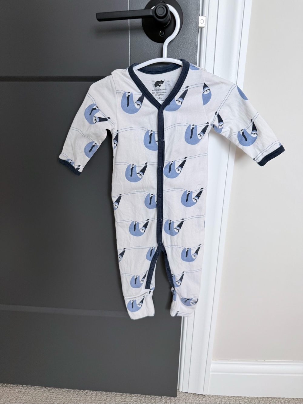Monica+Andy Footed Baby One-Piece with Blue Sloth Print